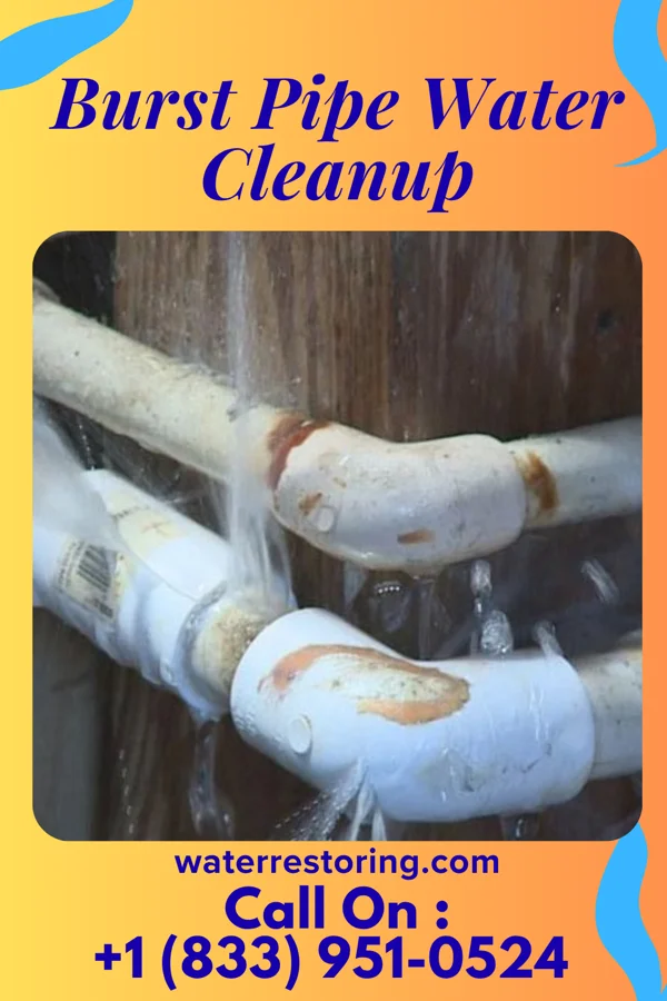 Burst Pipe Water Cleanup in Westgate, FL