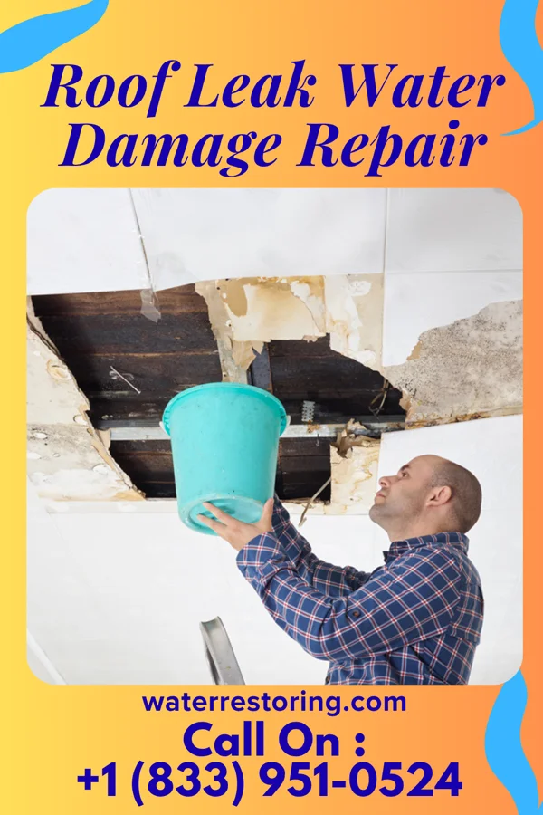 Roof Leak Water Damage Repair in Westgate, FL