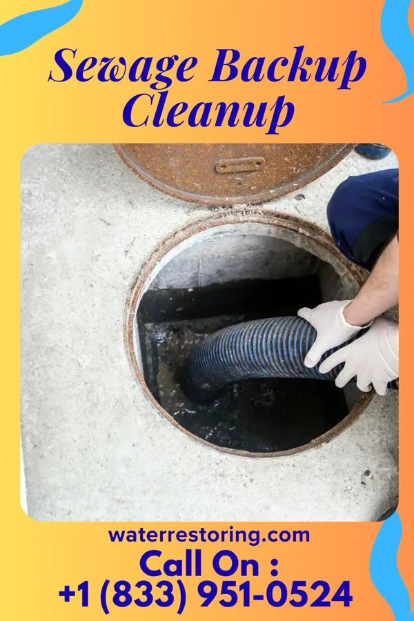 Sewage Backup Cleanup in Westgate, FL
